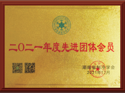 2021年度先进团队会员